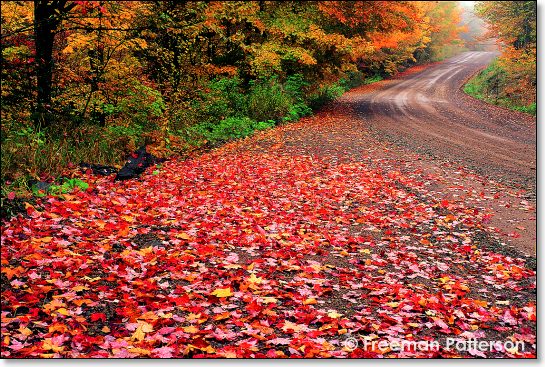 Ketchum Road Autumn - By Freeman Patterson