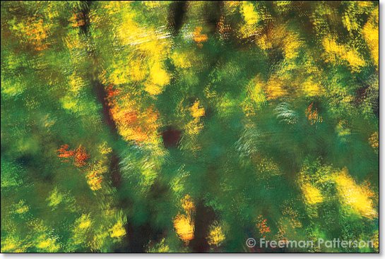 Autumn au Gaugin - By Freeman Patterson