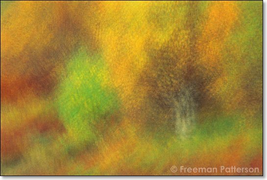 Textured September - By Freeman Patterson