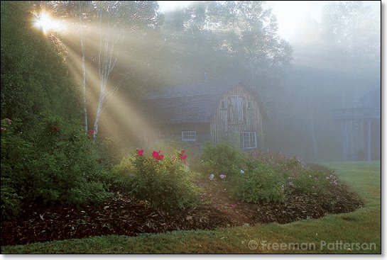 Morning Sun - By Freeman Patterson