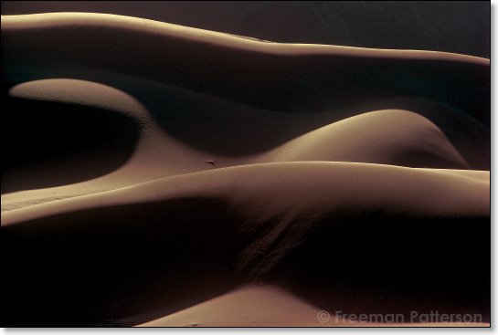 Namib Equivalents - By Freeman Patterson