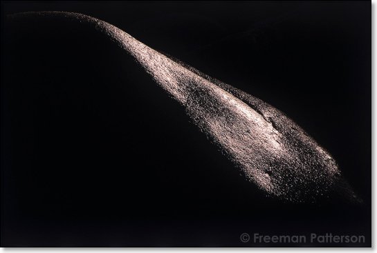 Rock at Bokalbaai - By Freeman Patterson