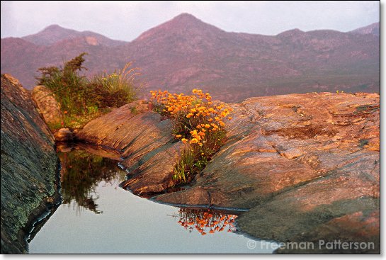 Mountain Pool, Namaqualand - By Freeman Patterson